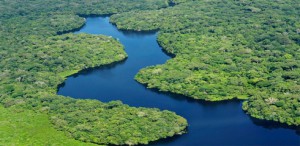 Imagem da notícia - Aeronaves de pesquisa sobrevoarão a Amazônia para coletar dados sobre a floresta