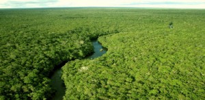 Imagem da notícia - Inpa realiza conferência final do Projeto Cenários para a Amazônia