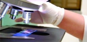 Imagem da notícia - Inpa e Ufam desenvolvem corante natural para o diagnóstico da Tuberculose