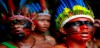 indigena
