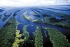ARQUIPÉLAGO DAS ANAVILHANAS RIO NEGRO AMAZONAS 124-17