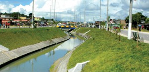 Imagem da notícia - Qualidade ambiental e riqueza de invertebrados diminuem em igarapés de Manaus