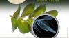 plantas