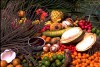 Frutos-Da-Amazônia-1