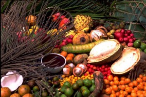 Imagem da notícia - Frutos amazônicos podem ajudar a prevenir o câncer colorretal