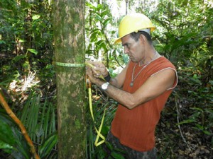 Imagem da notícia - Seminário aborda a Dinâmica de Carbono da Floresta Amazônica