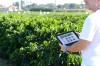 Além de recursos que vão permitir visualizar melhor o sistema em celulares e tablets, ele será apresentado nos idiomas português, inglês, francês e espanhol. (Foto: Neide Furukawa)