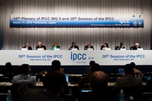 Imagem da notícia - Relatório do IPCC sugere adaptação baseada em ecossistemas