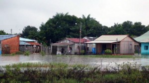 Imagem da notícia - Pesquisa pretende transformar lagoa em espaço não formal de educação para ensino de Ciências no AM