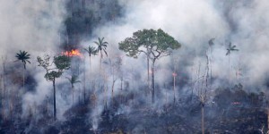 Imagem da notícia - Queimada na Amazônia tem impacto mais severo na seca, aponta estudo