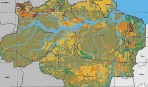 Imagem da notícia - Estoque de carbono da floresta no Amazonas é de 167,7 toneladas por hectare, aponta pesquisa