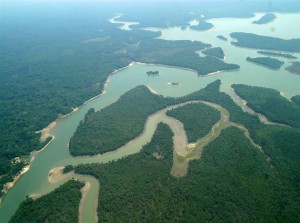 Imagem da notícia - Conferência Internacional da Amazônia em Estatística Experimental recebe inscrições de trabalhos até 7 de julho