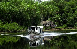 Imagem da notícia - Alertas de desmatamento da Amazônia caíram 20%
