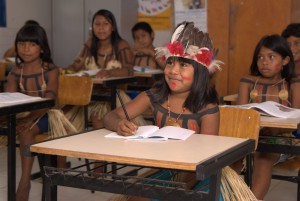 Imagem da notícia - Línguas indígenas amazônicas em destaque