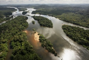 Imagem da notícia - Floresta Amazônica cresceu após mudança climática há 2 mil anos