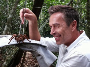 Imagem da notícia - Das trilhas para as telas, a vida sob influência das águas