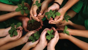 Imagem da notícia - Inpa premia escolas que têm maior grau ético de cuidado socioambiental