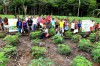 Agricultores e pesquisadores em Dia de Campo sobre Cultivo de Mandioca em Terra Firme. Foto: Síglia Souza.