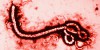 o-EBOLA-VIRUS-facebook