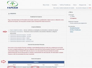 anexo de documentos