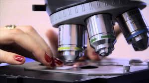 O número de mulheres cientistas aumentou 259,70% de 2003 a 2015, segundo dados do Conselho Nacional de Desenvolvimento Científico e Tecnológico (CNPq). (Foto: Divulgação)