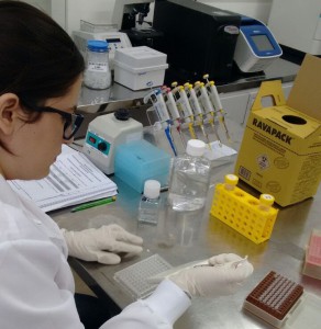 O HTLV foi o primeiro retrovírus humano descoberto em 1980 e o HIV, em 1982