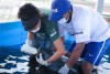 af8ef5f8-9e77-41af-8ec7-16a27bf23dfe_28-08-2014-chegada-da-cassi-do-betel-no-centrinho---fotos-amanda-lelis--13-de-26-
