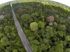 Imagem aérea mostra a rodovia cortando a reserva de Mata Atlântica (Foto: Leonardo Merçon/ Últimos Refúgios)