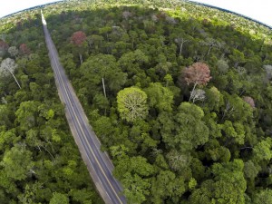 Imagem aérea mostra a rodovia cortando a reserva de Mata Atlântica (Foto: Leonardo Merçon/ Últimos Refúgios)