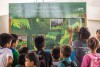 76a8bb02-34a4-432b-a7c0-59ad0e7d574f_semana-do-meio-ambiente---instituto-mamiraua-fotos--everson-tavares-9922