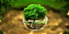 gestao-ambiental-938x535