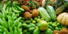 sepror - frutas do paa