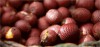 Buriti 1