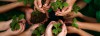 go green - save the environment