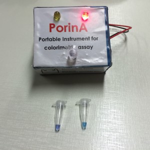 sintomas da dengue com diagnóstico rápido