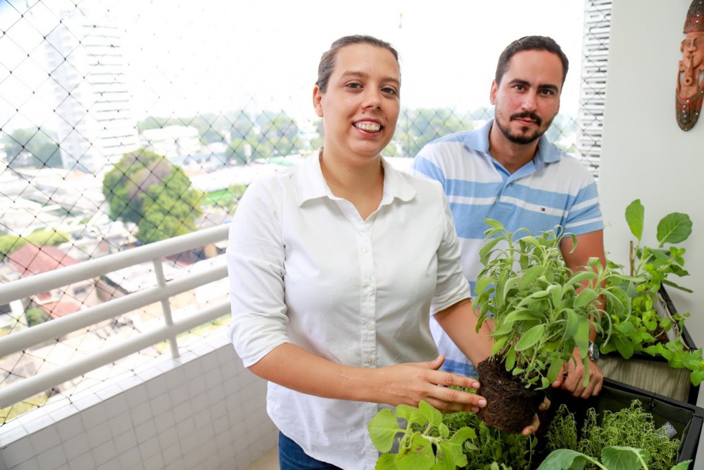 Suporte para criação de hortaliças em ambientes urbanos