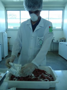 Linguiça defumada de catitu é desenvolvida por estudantes do Amazonas