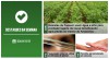 Destaques da semana: Veja as matérias que tiveram maior acesso