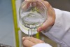 Estudo produzirá biossurfactantes a partir de gordura