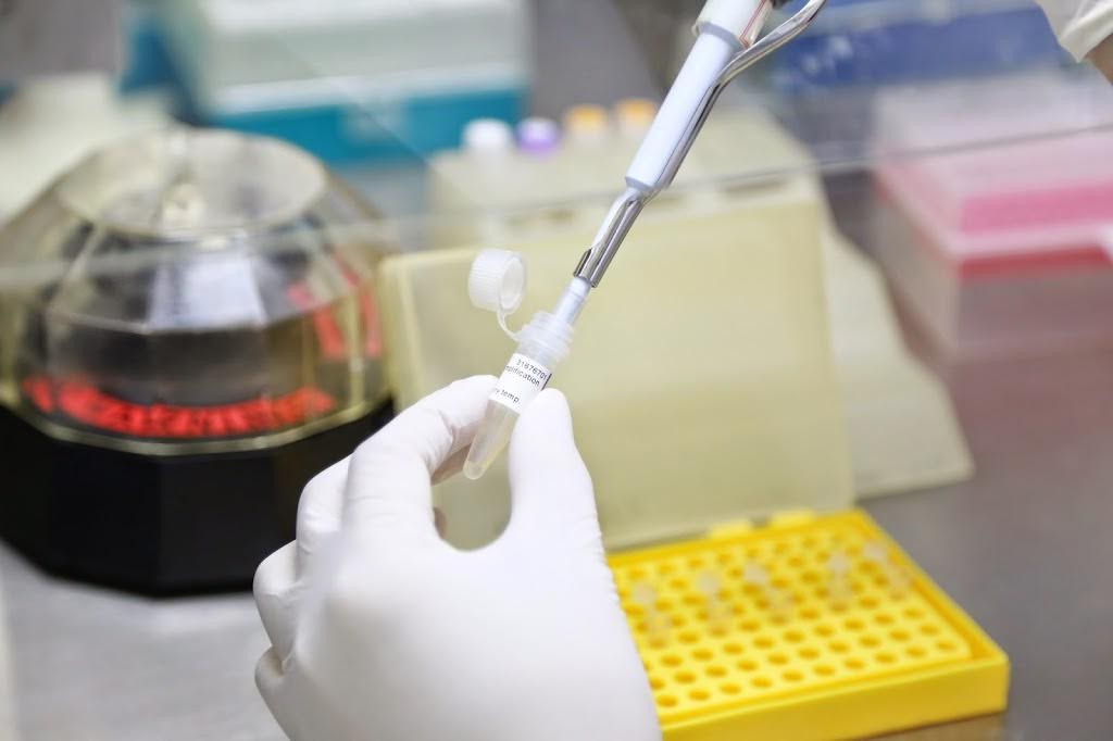 Políticas públicas para medicamentos a partir da biodiversidade