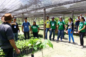 Estudo fortalece agroindústrias do interior do Amazonas