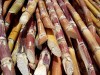 Estudo pretende elevar a produção de etanol no Amazonas