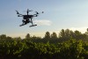 Pesquisadores querem utilizar robôs para monitorar Amazônia
