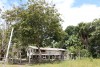 Pesquisadora estuda relação da paisagem ribeirinha com modo de vida amazônida