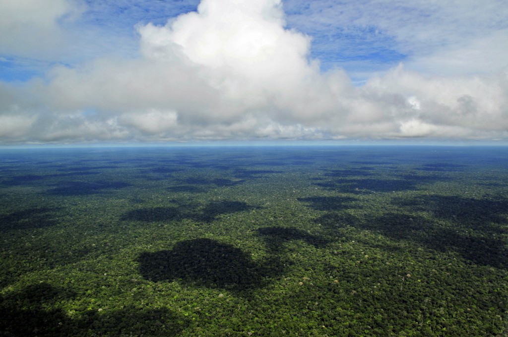 Saiba como as mudanças climáticas podem impactar a Amazônia