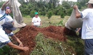Estudo fortalece agroindústrias do interior do Amazonas