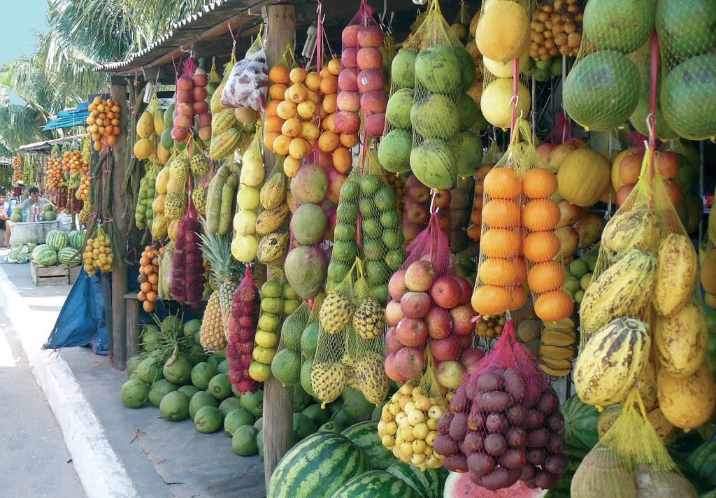 Estudo fortalece agroindústrias do interior do Amazonas