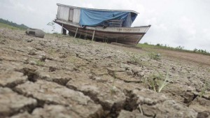 Pesquisadores afirmam que secas na Amazônia podem ser mais frequentes