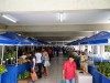 Segundo os produtores, grande parte dos produtos são de origem orgânica, sem aplicação de agrotóxico, o que dá a ele um valor igual do produto convencional vendidos nas feiras de Manaus