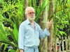 “Humanos modificam suas paisagens continuamente, seja para melhorar a diversidade de plantas úteis, seja para degradá-la"